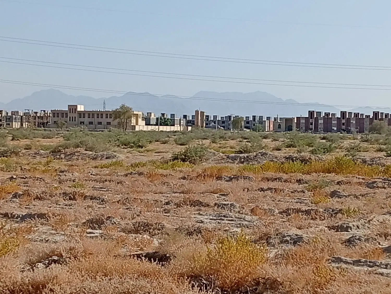 زمین کشاورزی