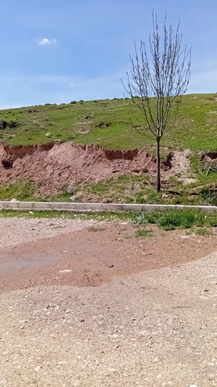 زمین واقع در روستای چنار علیا