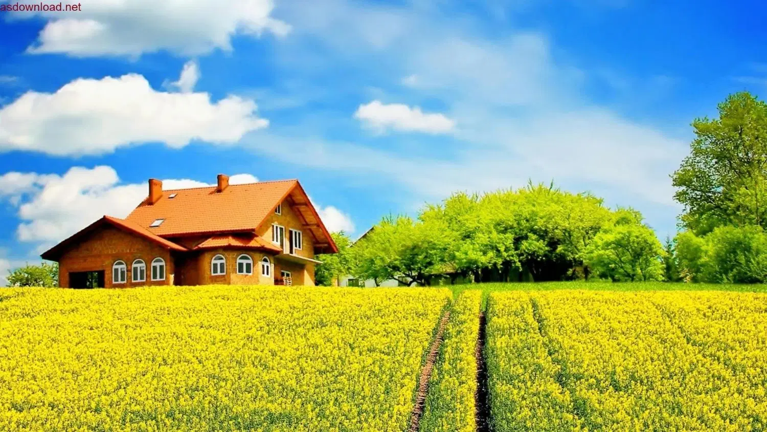 فروش خانه و زمین کشاورزی در حانه میران