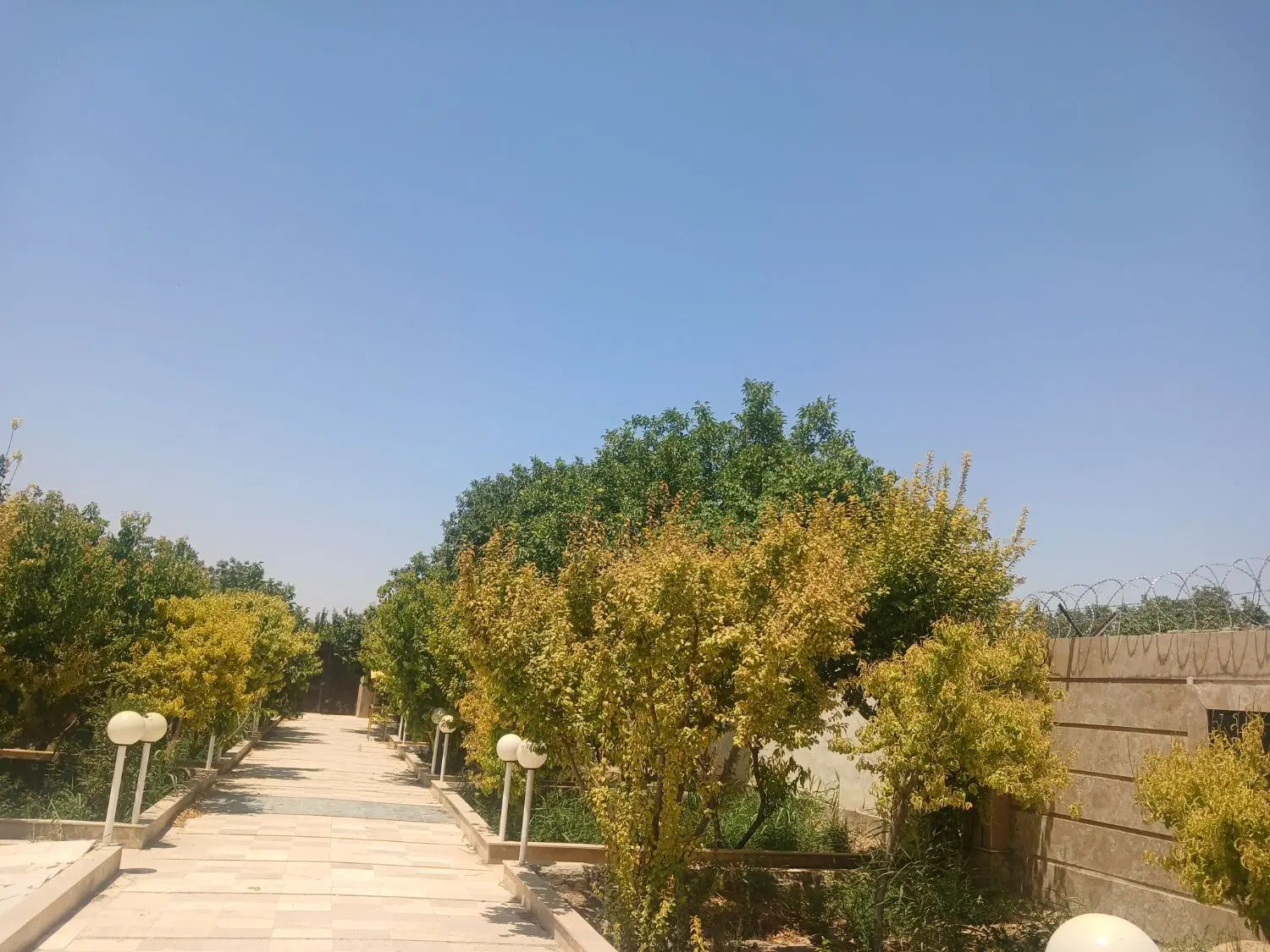 با سلام باغچه ۳۵۰ متری