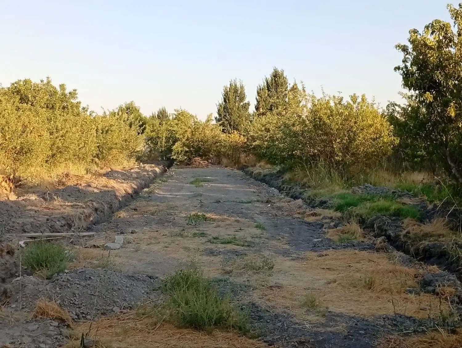 ویلا باغ