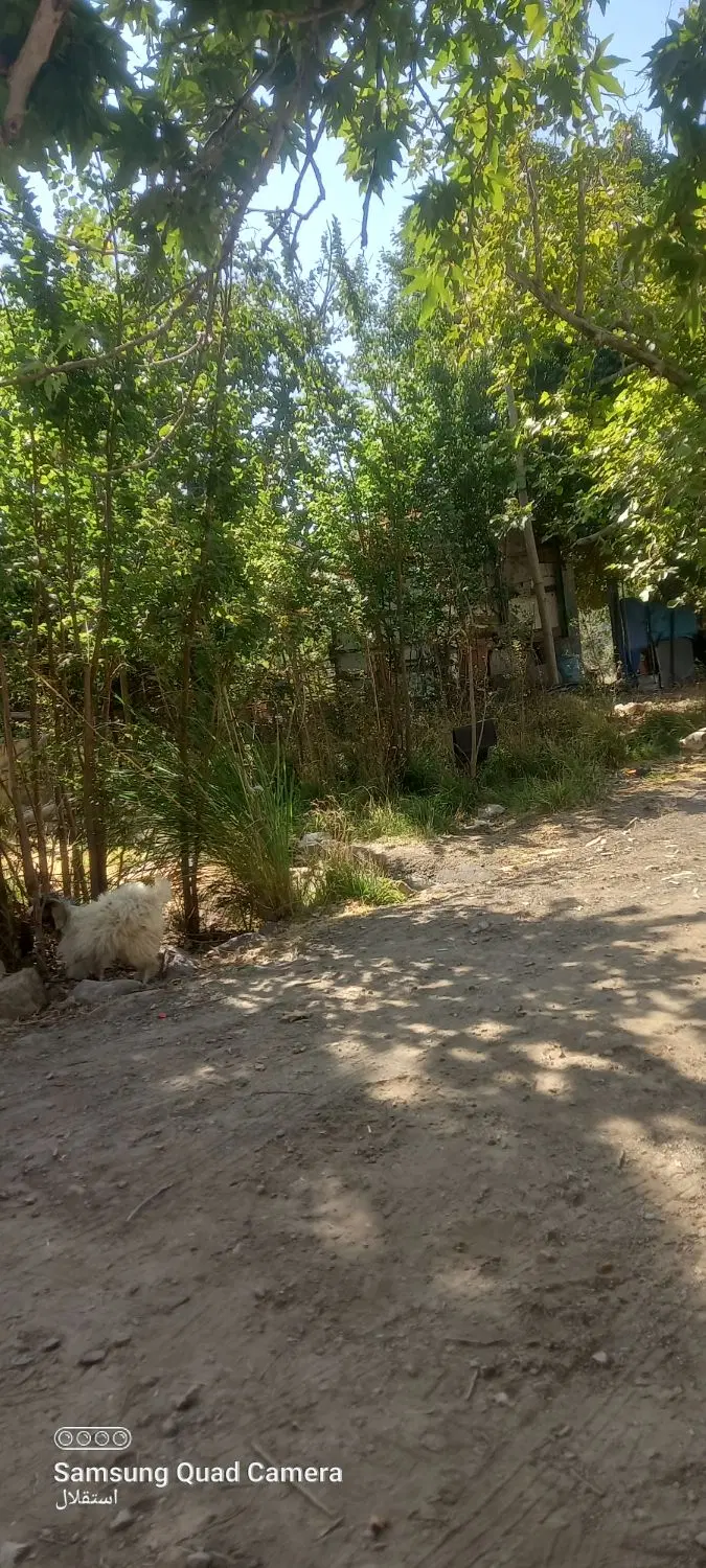 ده قصب زمین از یه باغ واقع در روستای مرغک دهبکری