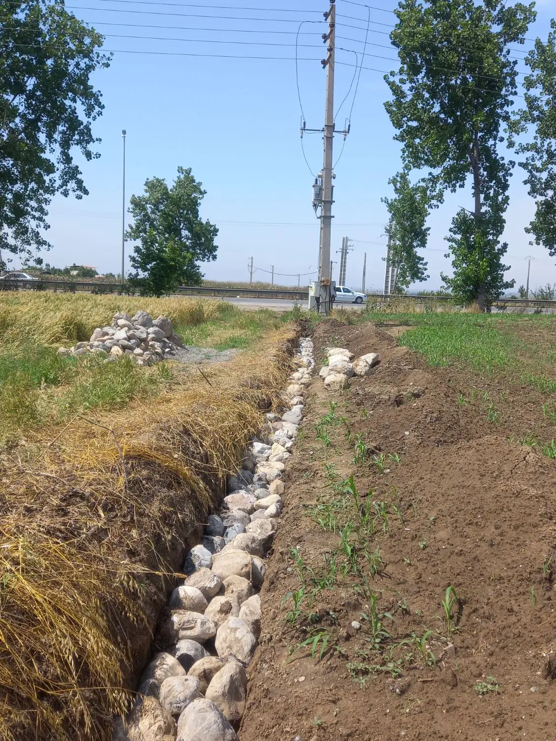 زمین صنعتی تجاری2