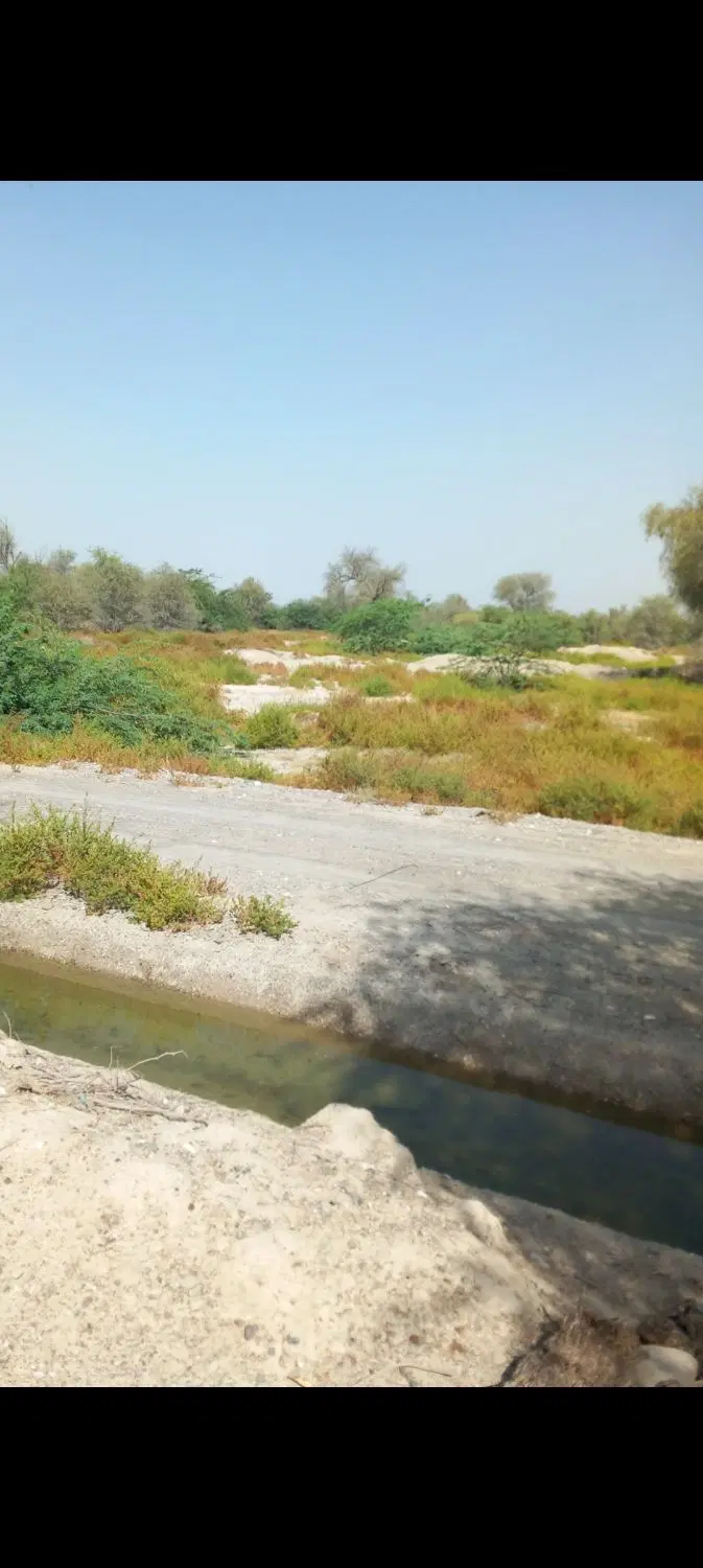 2000و 5000زمین باغی درماشهران