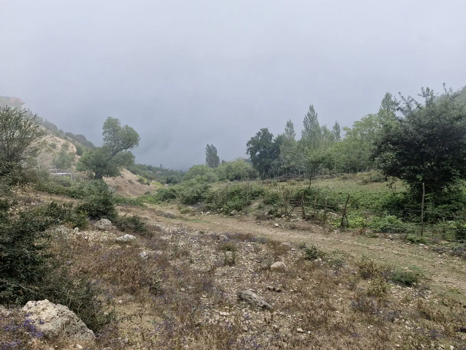 زمین زیارت