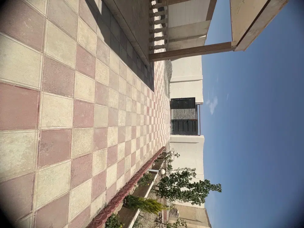 باغ و باغچه