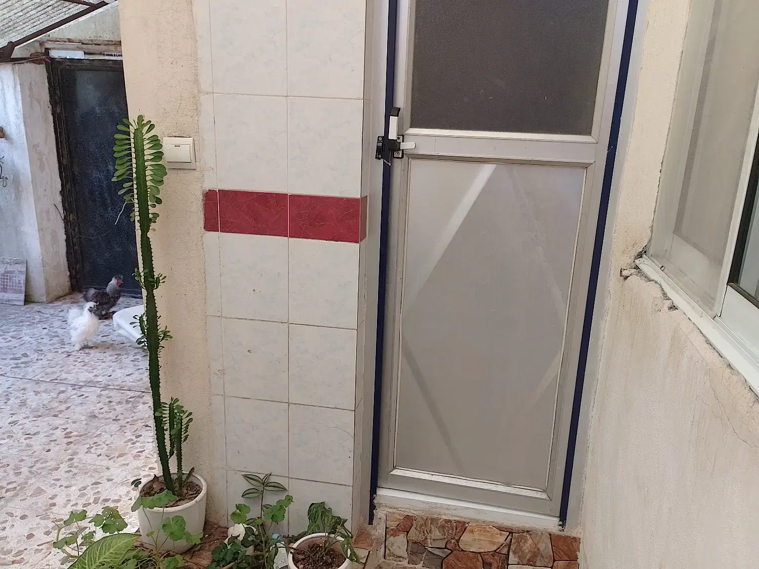 خانه همکف