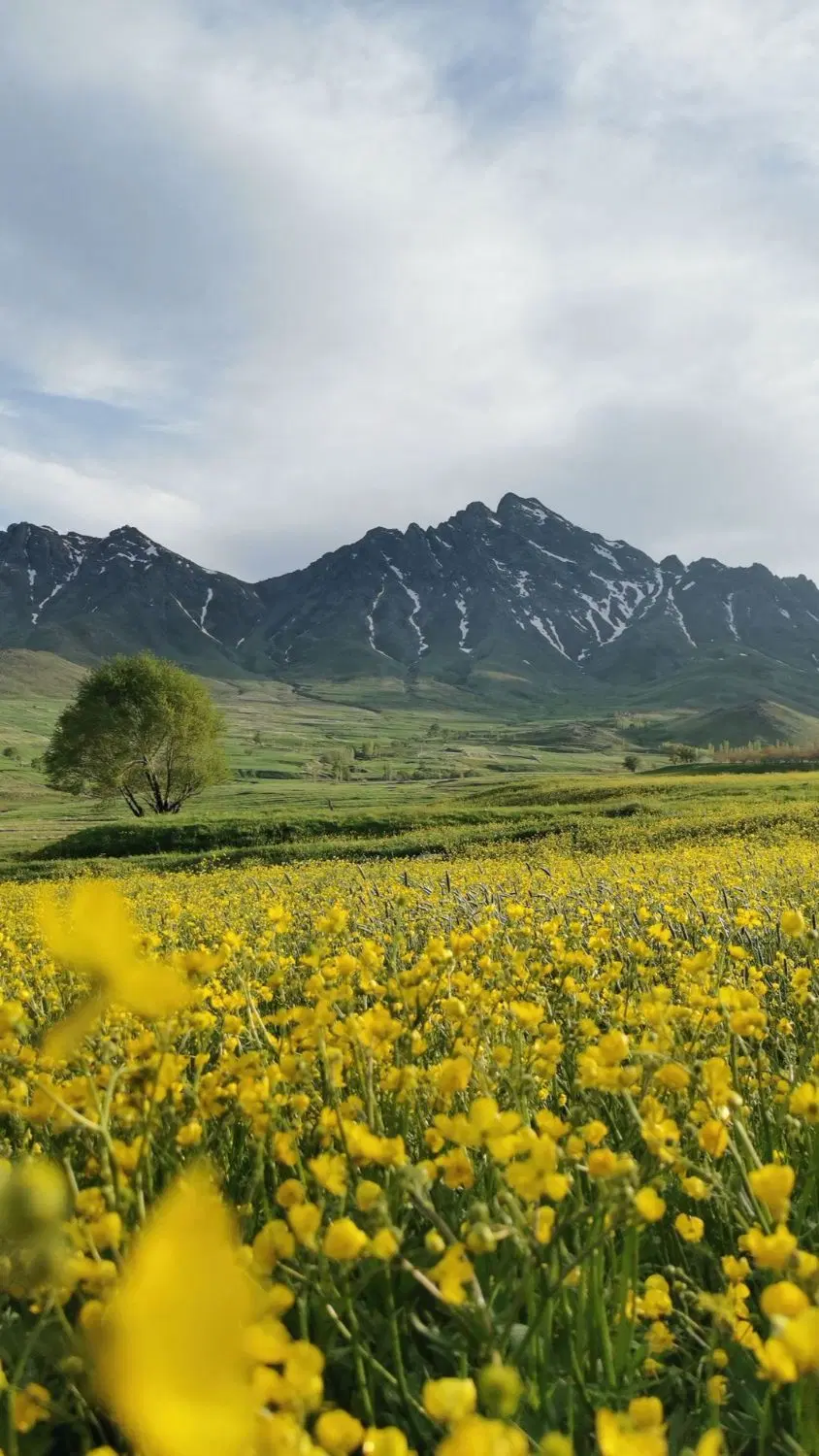 اجاره کردن زمین کشاورزی