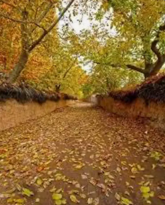 فروش زمین