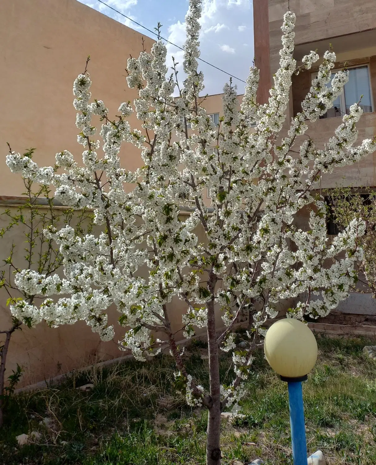 باغ دربوژان.بهشت خراسان