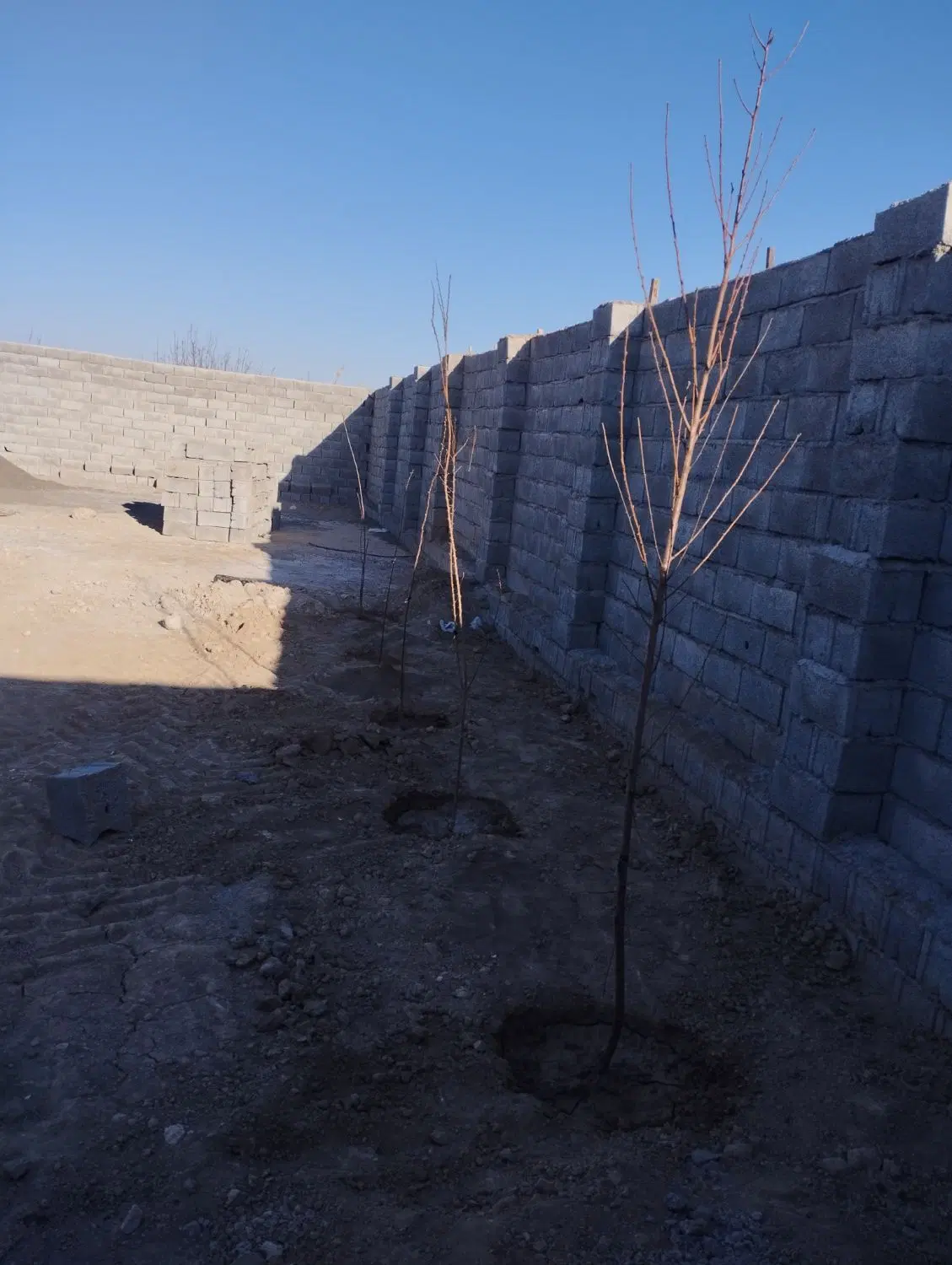 زمین ویلایی