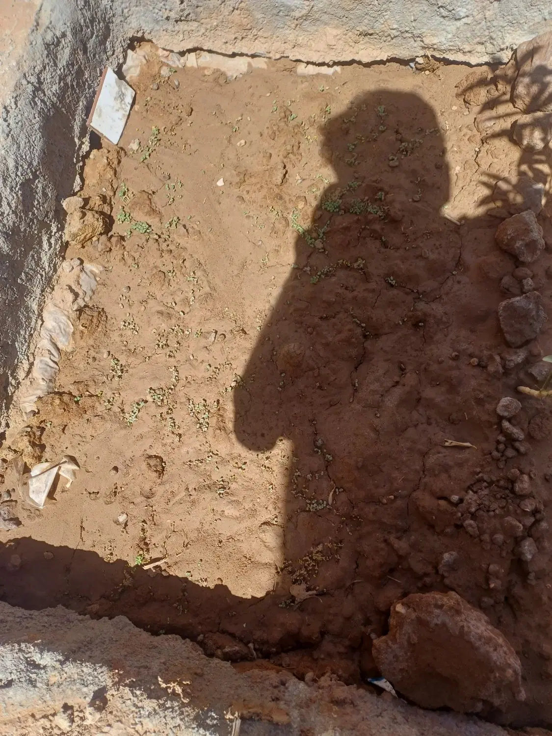 زمین عباس اباد بافق