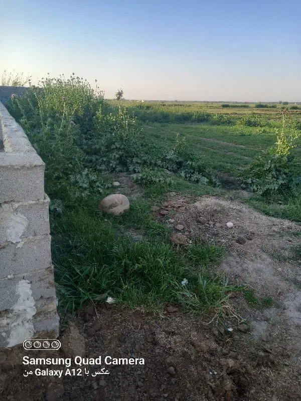 زمین