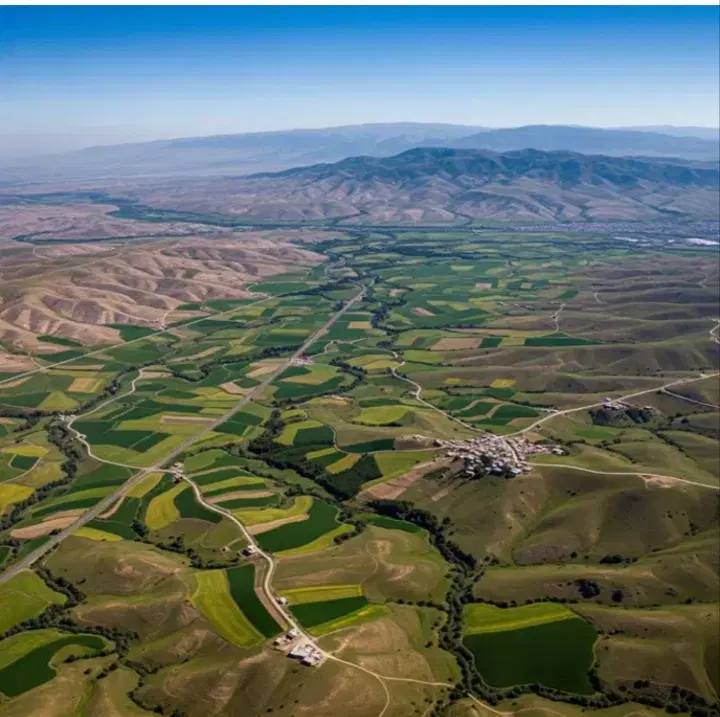 باغ طرح برنامه بودجه