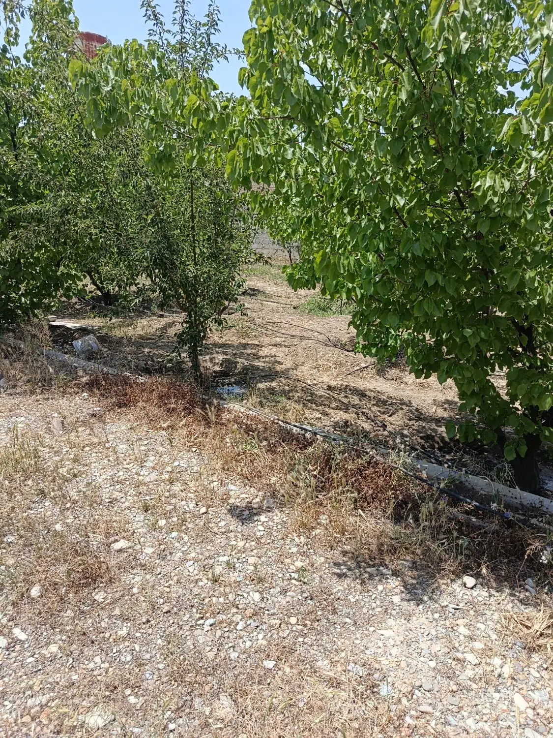 زمین شهرکی سنددار سرخاب رضا اباد