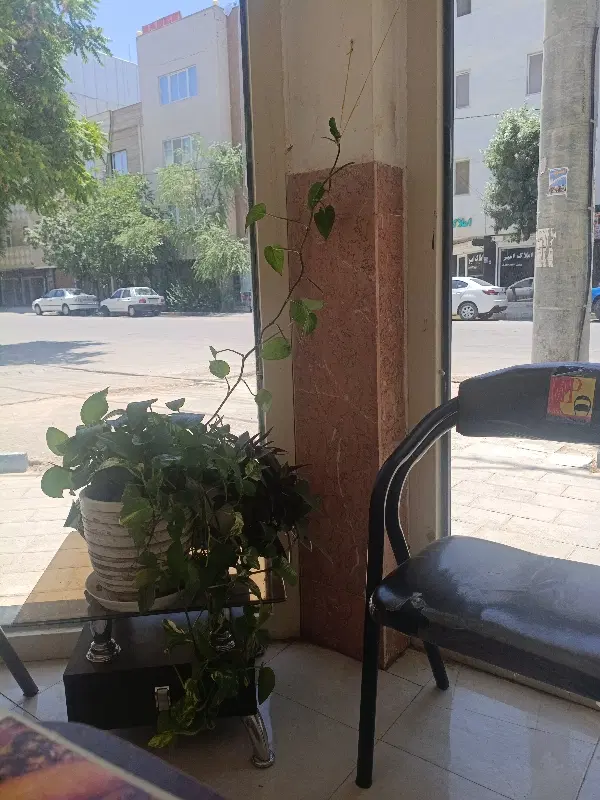 یک واحد آپارتمان شیک در بهترین لوکیشن