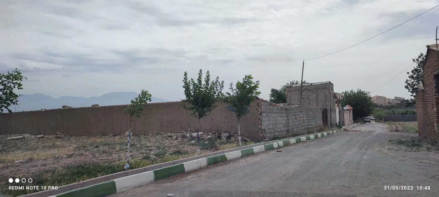 علی آباد گونه
