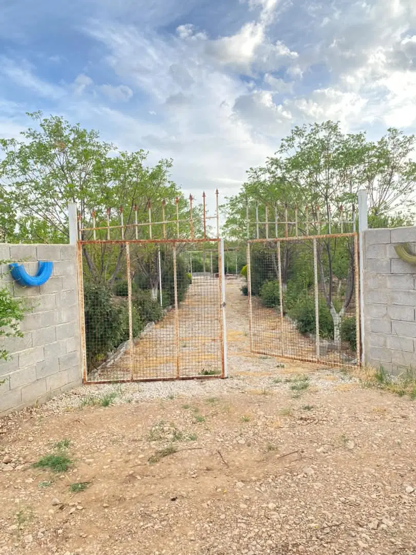 فروش باغ