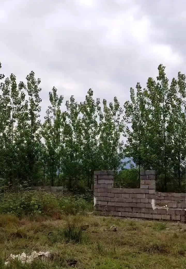 ویلایی استخر دار درحال ساخت، شمال، رشت