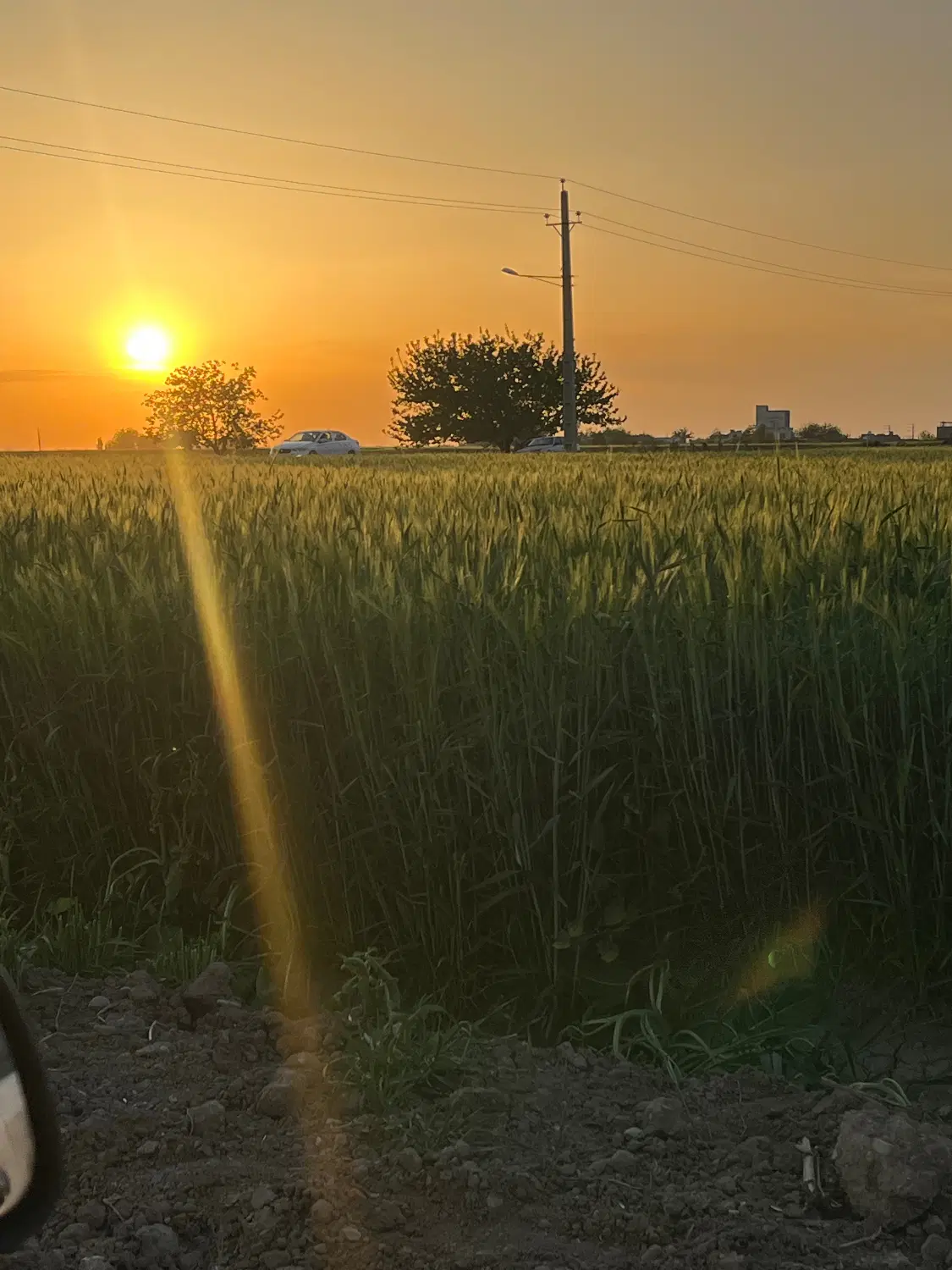زمین بهر خیابان اصلی آسفالت ۱۰۰۰متر به بالا‌