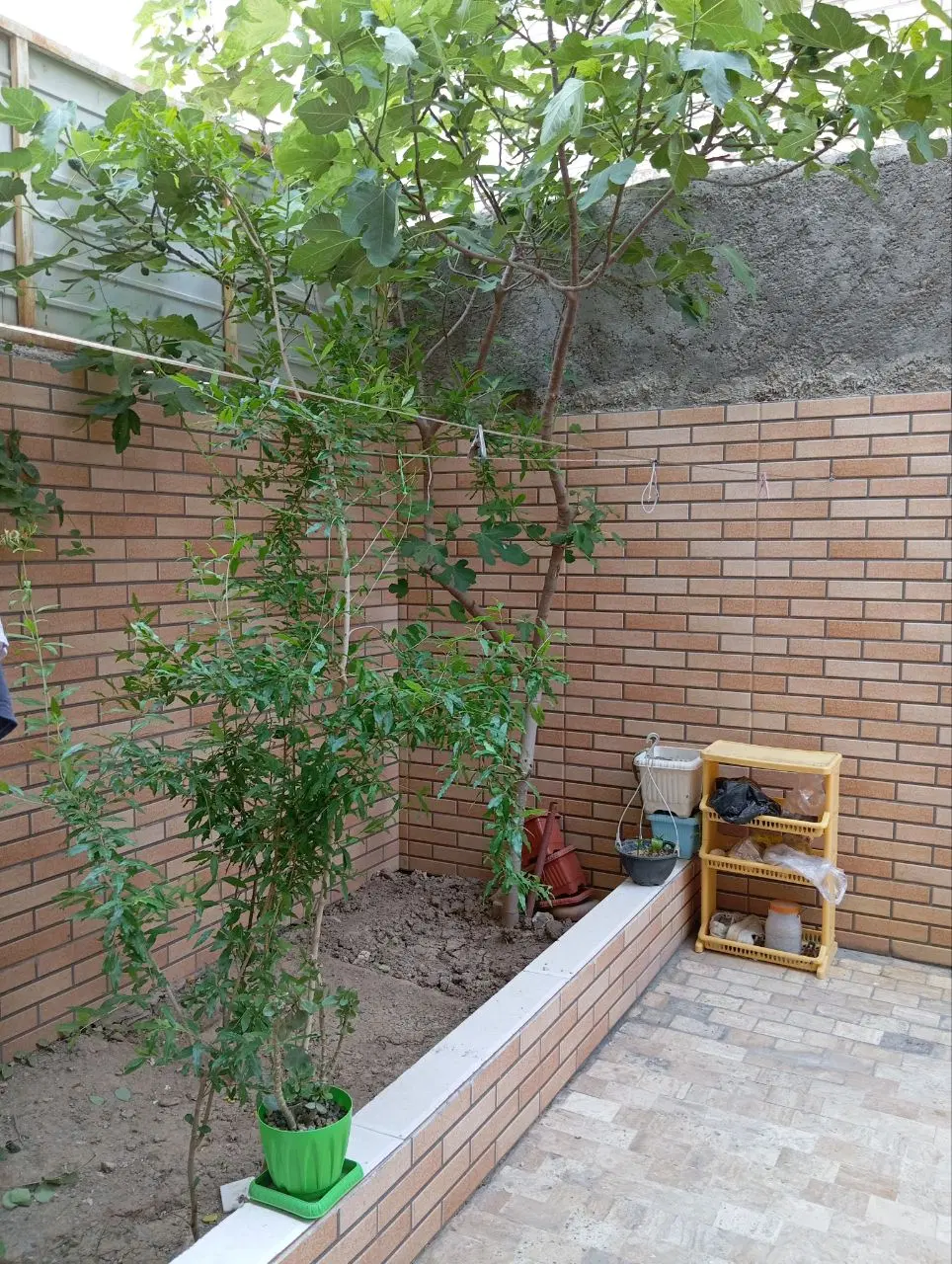 خانه اجاره‌ای در شیخ اباد