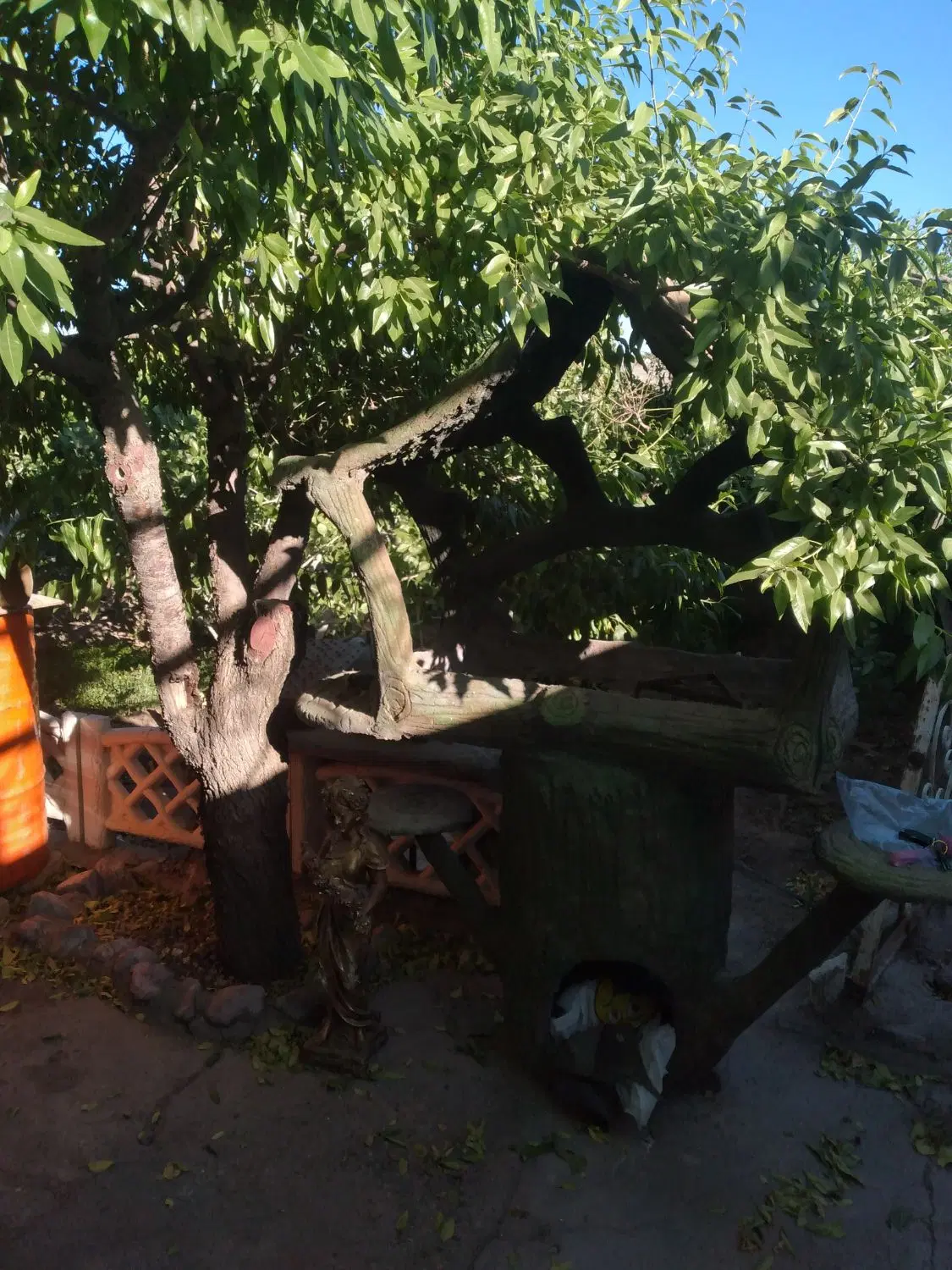 خانه باغچه فخراباد۲۰ قصب