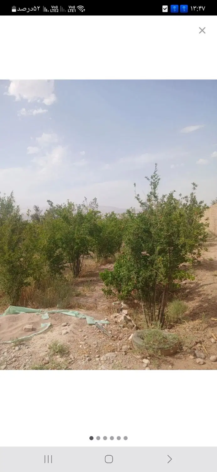 زمین در یاتری علیا