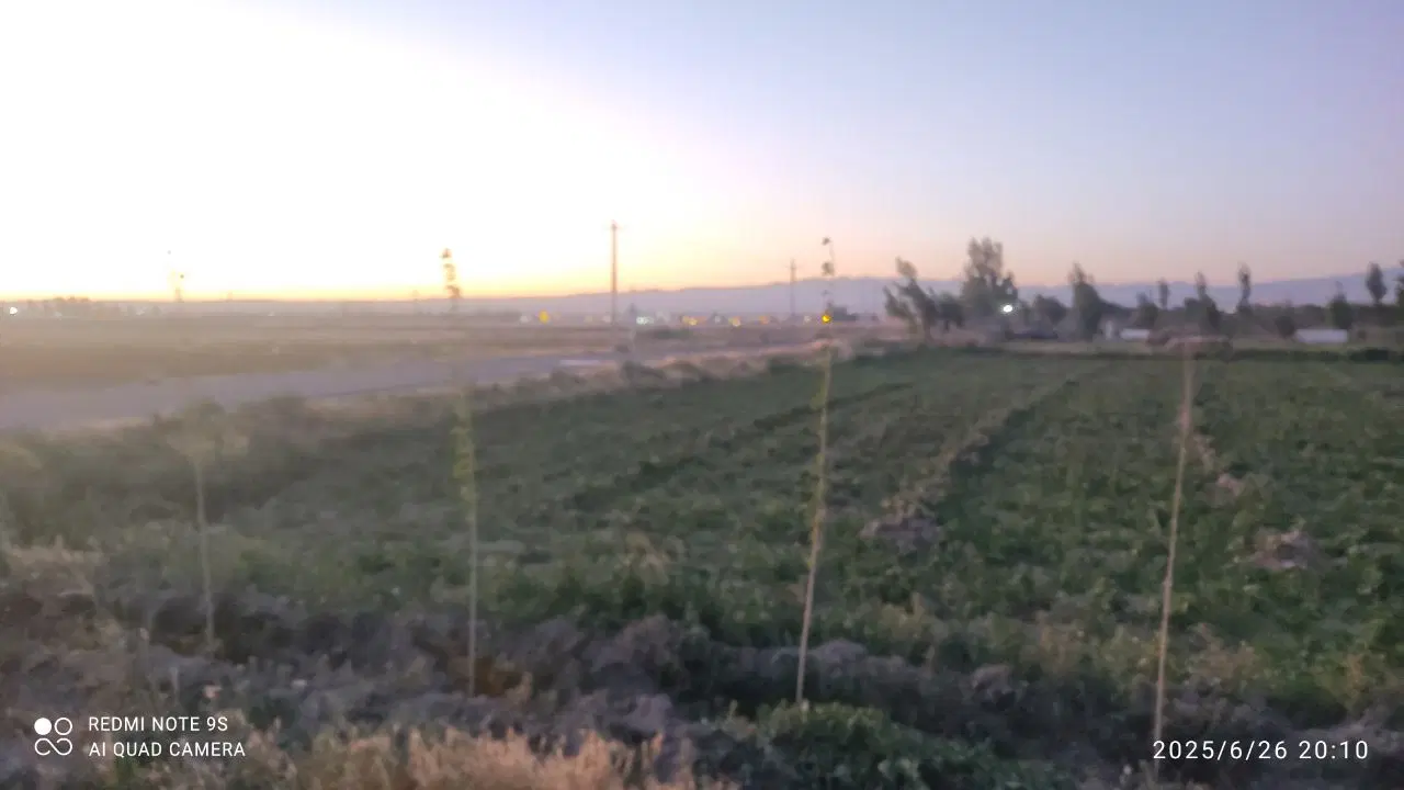 فروش زمین زراعی 2500متری