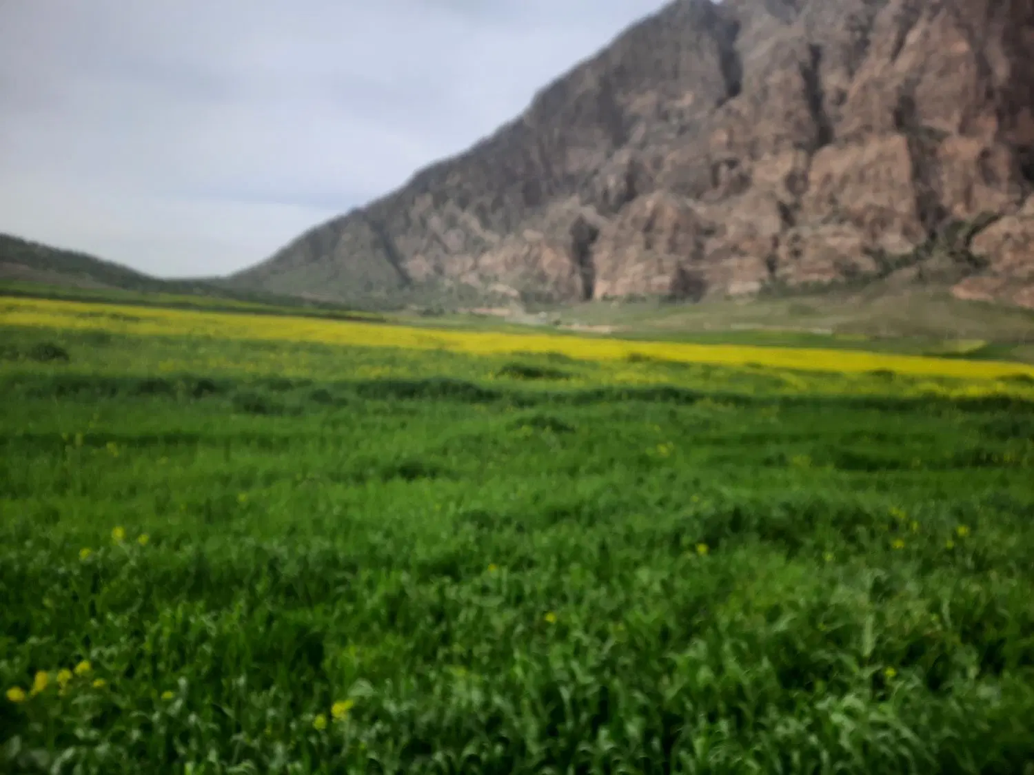 فروش زمین کشاورزی