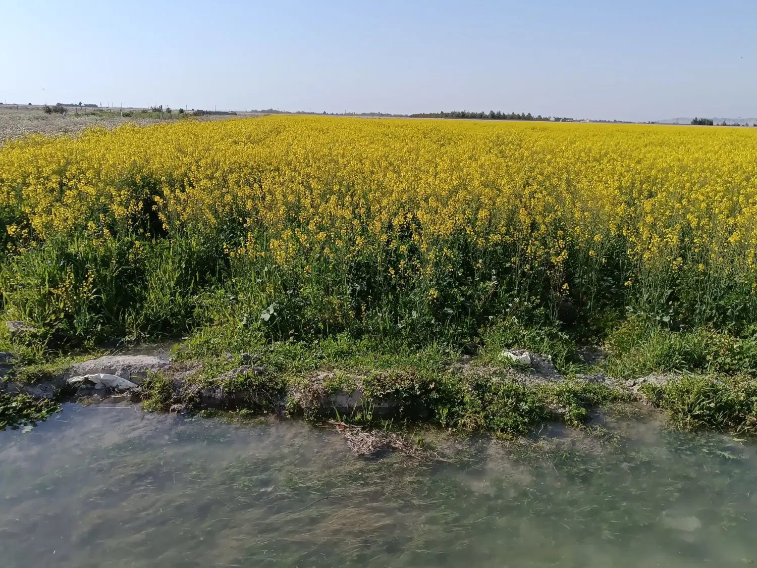 زمین کشاورزی و باغداری