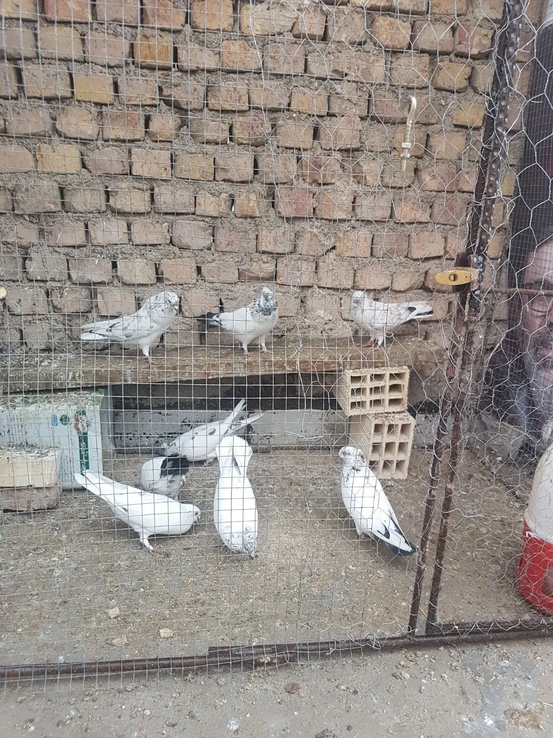 ملک ۱۲۰متری با ساخت محکم وتیر اهن سال ۱۳۹۶