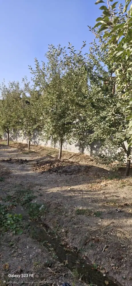 ۳۰۰ متر زمین باغی، نمیر رودهن