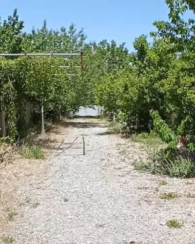 زمین خونه باغ
