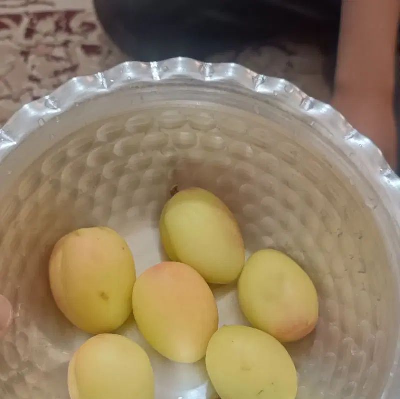 باغ میوه و ویلا  ۱۰۰۰متری