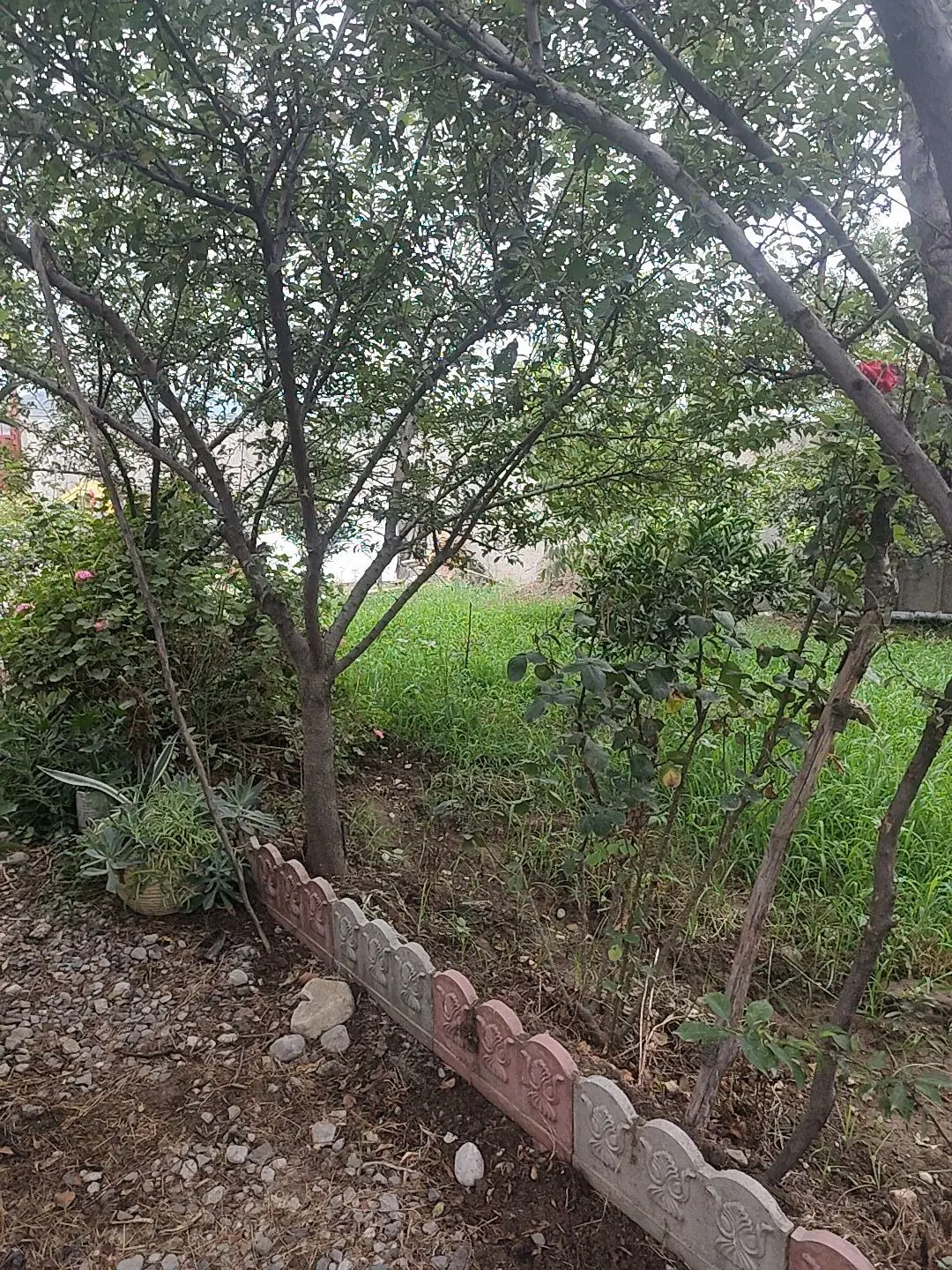 باغ در روستای قرن اباد