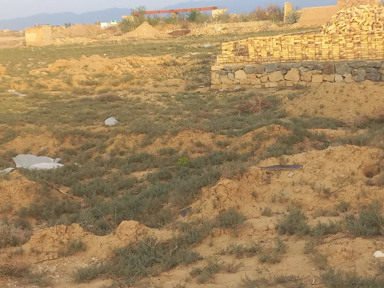 زمین فروشی گاوخانه