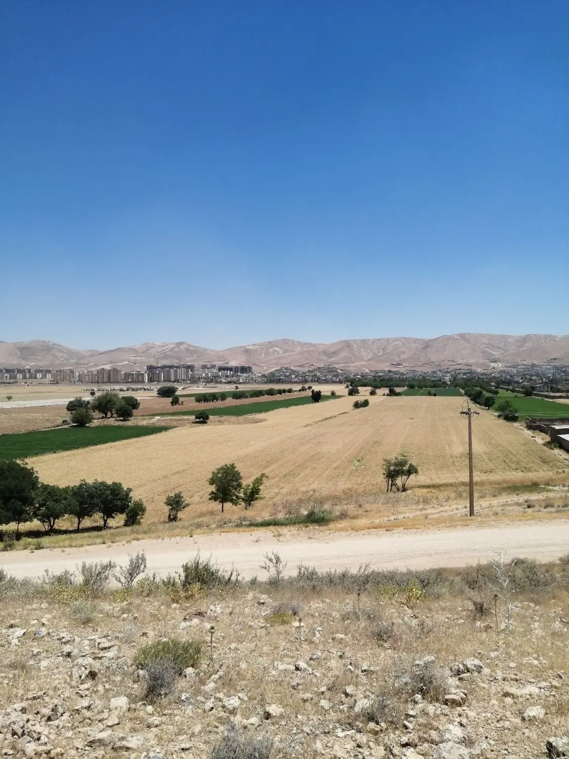 فروش زمین کشاورزی در موقعیت استثنایی صدرا