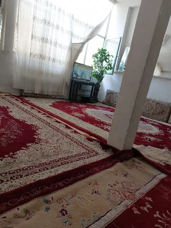 هم خانه   خانم