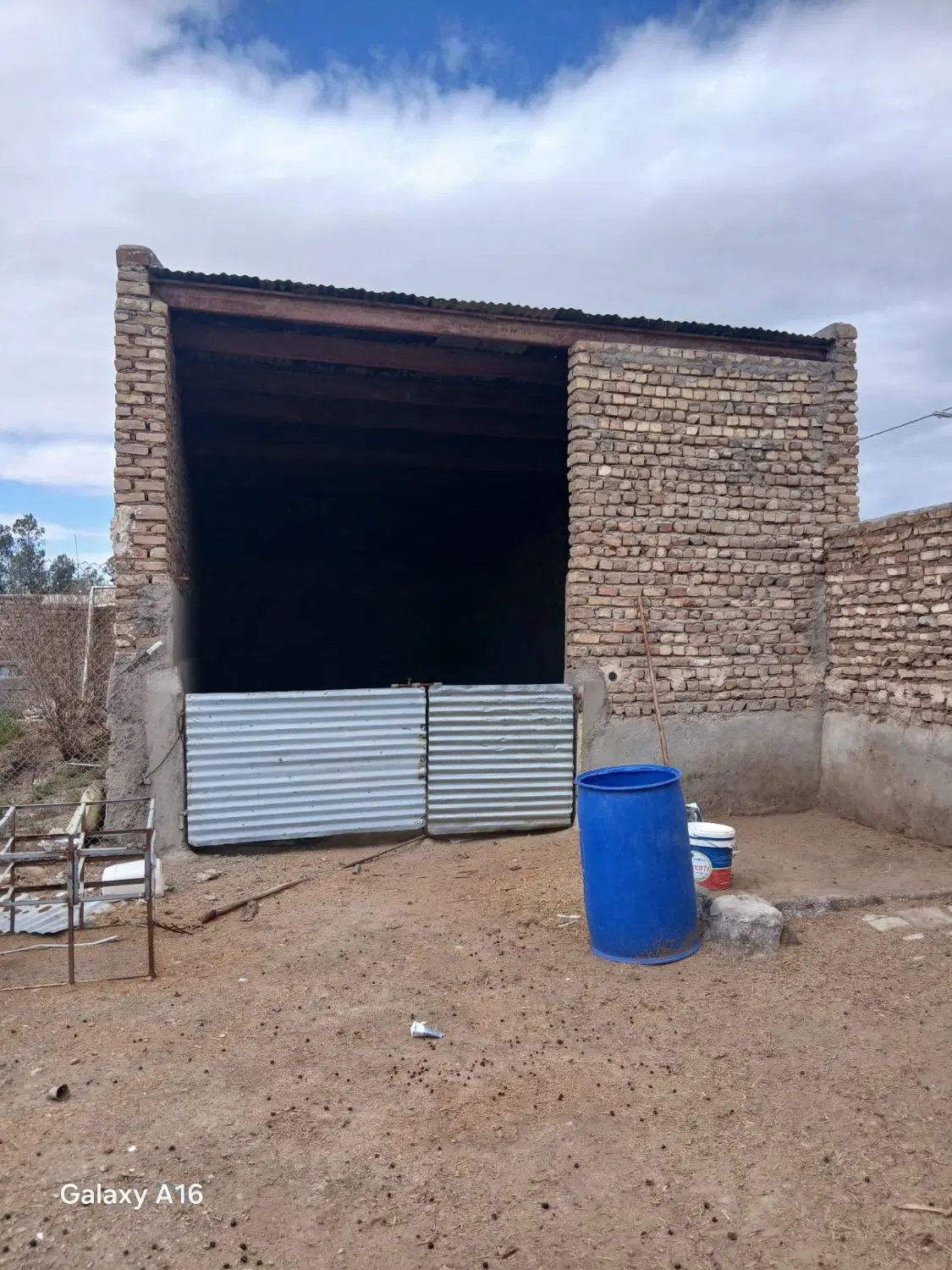 دامداری