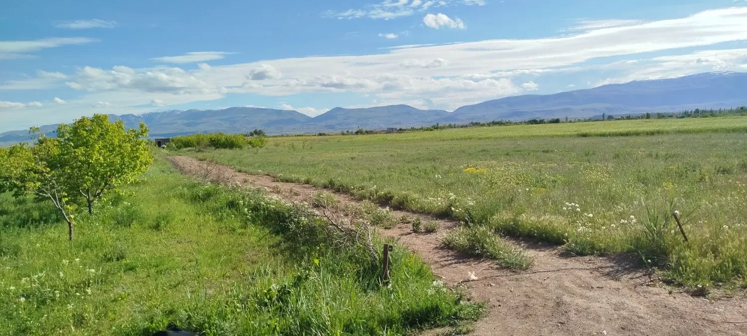 زمین باغ(روستای خوک)