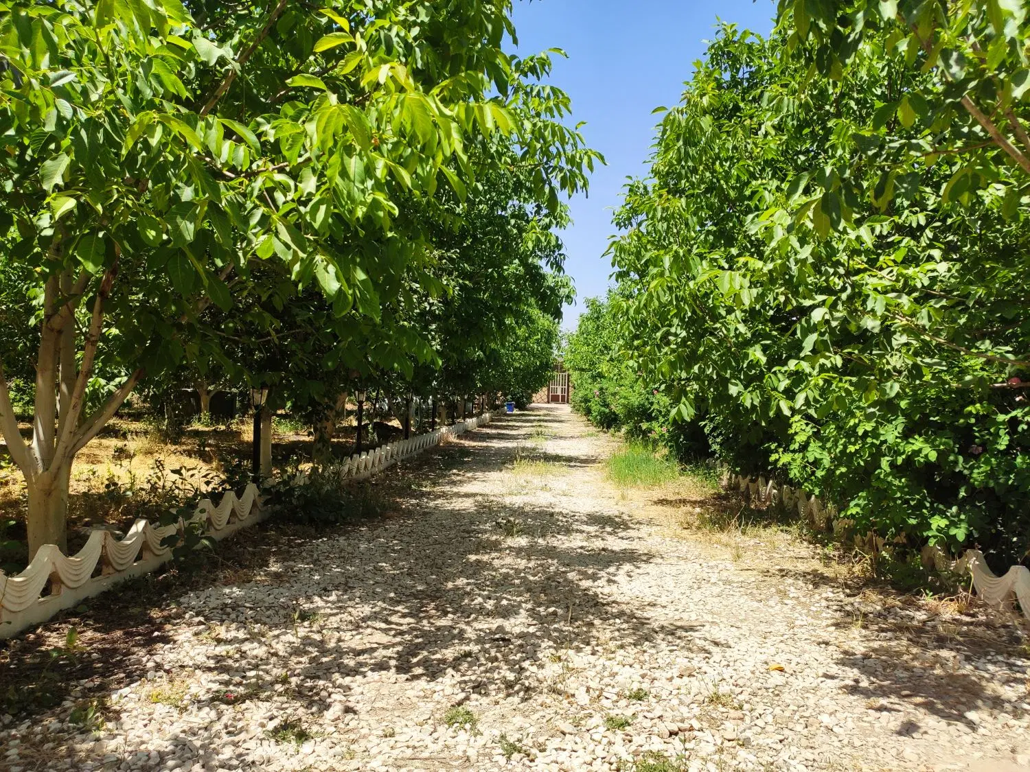 زمین باغ ویلا