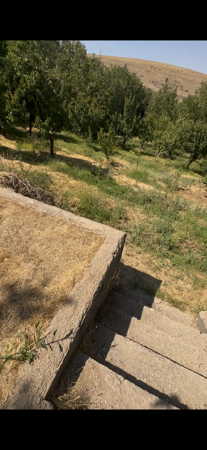 فروش باغ روستای خاکو