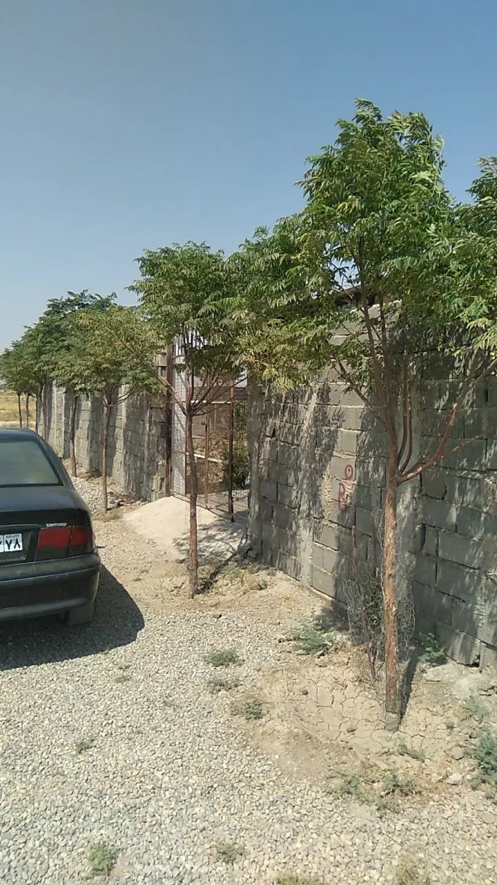 باغچه ۲۵۰ متری زیبا