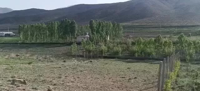۷۰۰متر زمین فیروزکوه جاده ارجمند