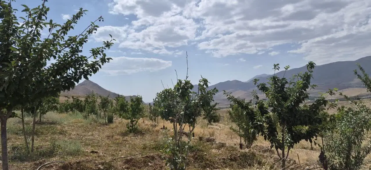 باغچه ۵۰۰ متری در آرو