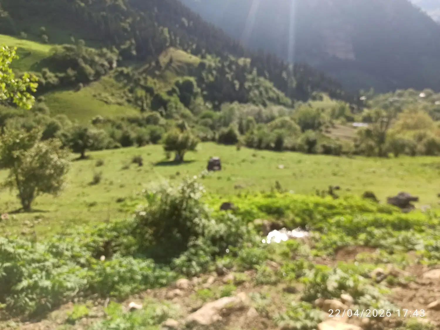 زمین روستایی در شهرستان رودبار منطقه رحمت اباد