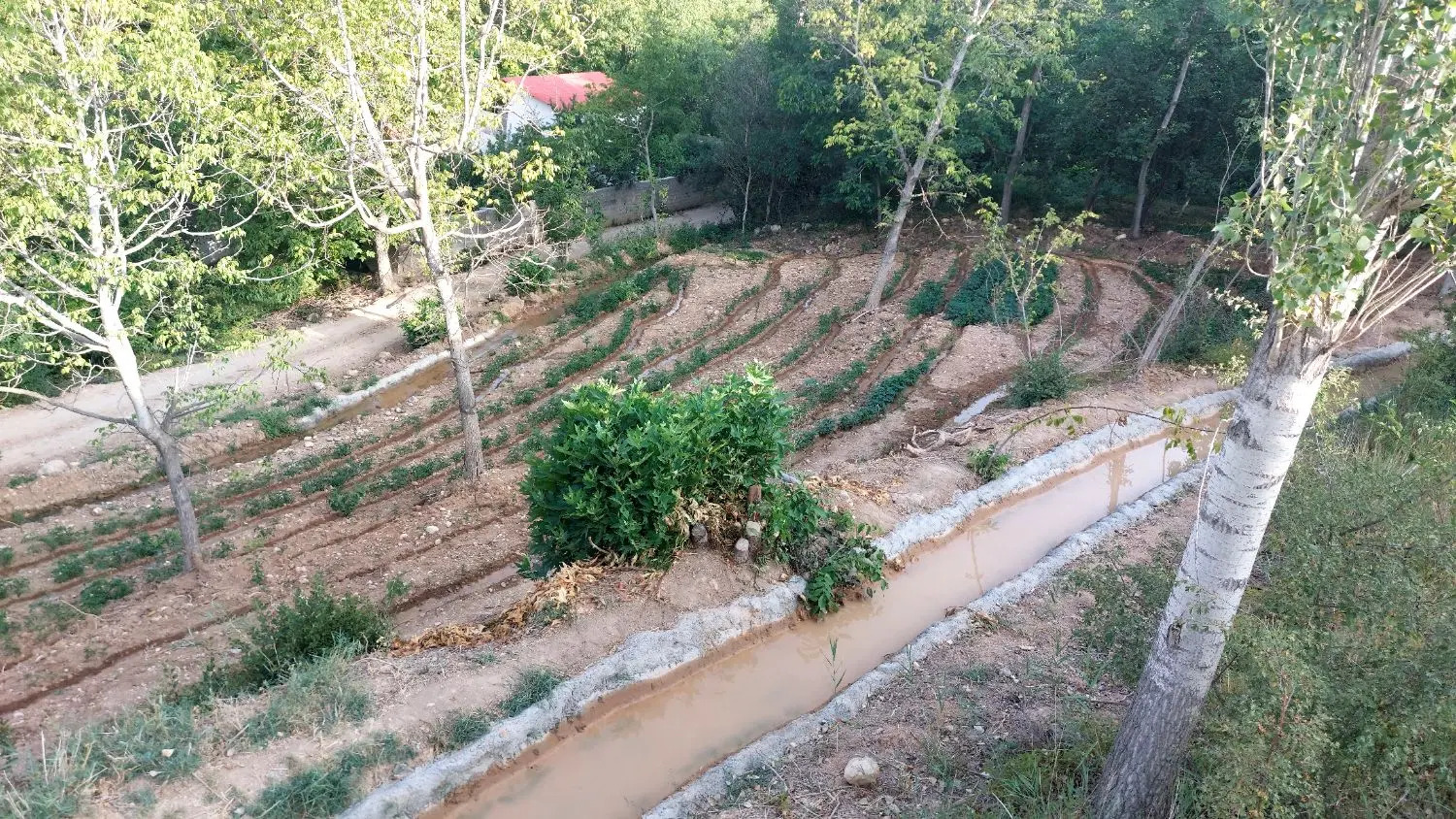 فروش باغ  در روستای قره باشلو