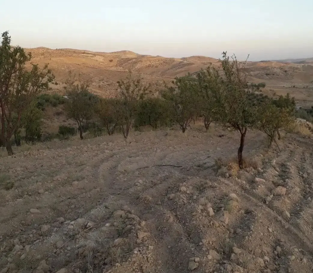 فروش باغ