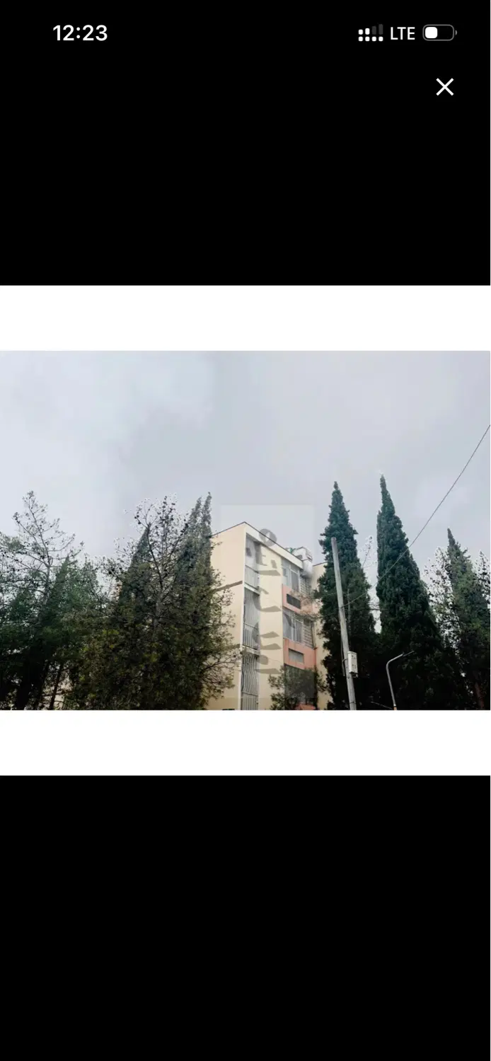 ۱ خواب تیپ بزرگ فرانسوی گلدشت معالی آباد