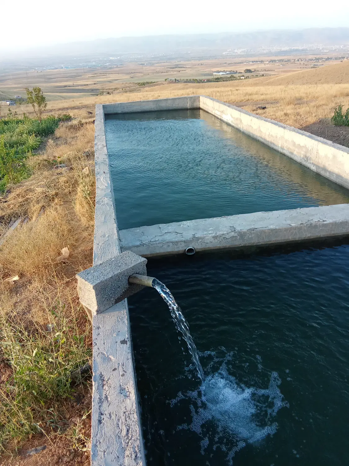 فروش باغ و زمین دیمی با قیمت مناسب